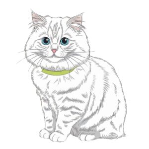 クロ-カワイイ-ネコ-ぬりえ