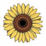 花の塗り絵 高齢者 あじさい
