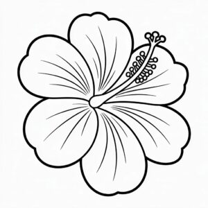 nurie kantan purinto mainichi